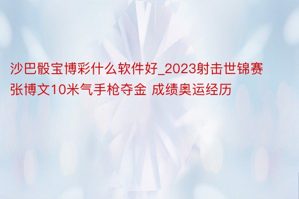 沙巴骰宝博彩什么软件好_2023射击世锦赛张博文10米气手枪夺金 成绩奥运经历